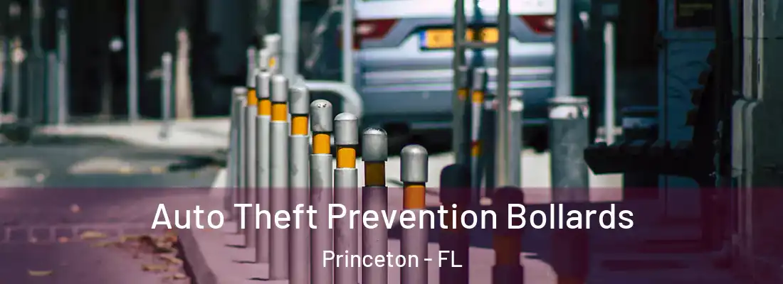  Auto Theft Prevention Bollards Princeton - FL