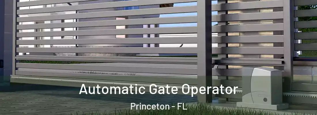  Automatic Gate Operator Princeton - FL