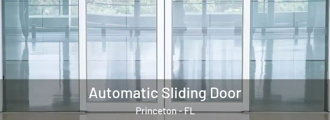 Automatic Sliding Door Princeton - FL