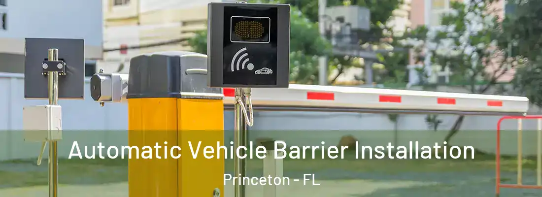 Automatic Vehicle Barrier Installation Princeton - FL