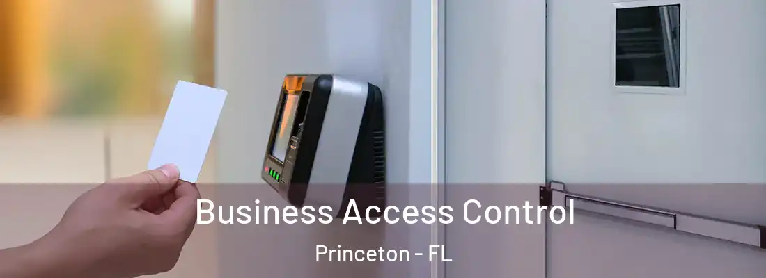 Business Access Control Princeton - FL