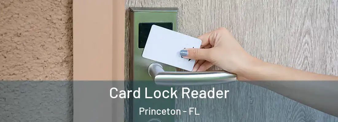  Card Lock Reader Princeton - FL