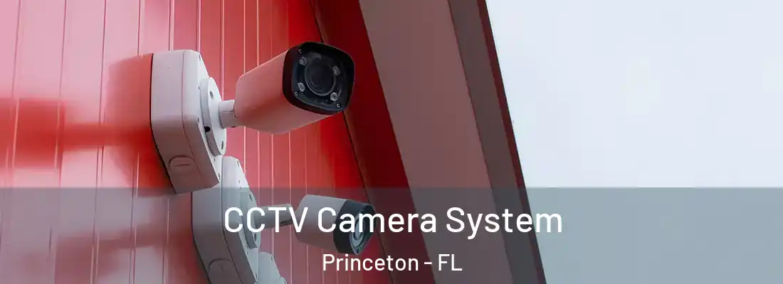  CCTV Camera System Princeton - FL