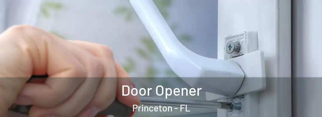  Door Opener Princeton - FL