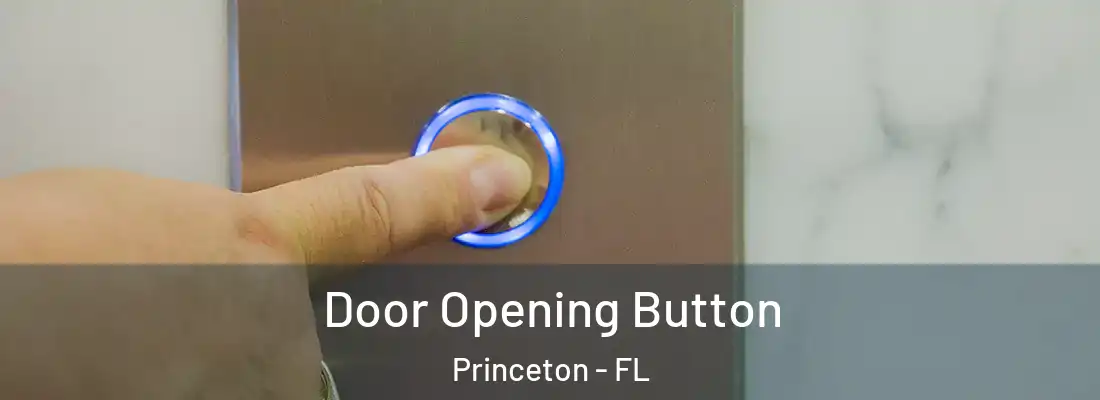 Door Opening Button Princeton - FL