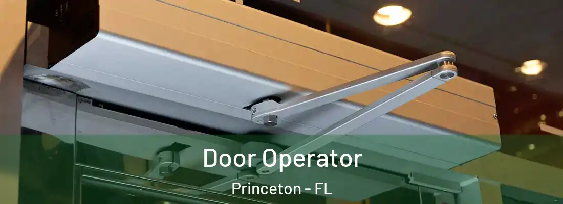  Door Operator Princeton - FL
