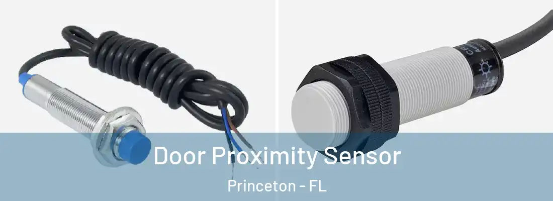  Door Proximity Sensor Princeton - FL