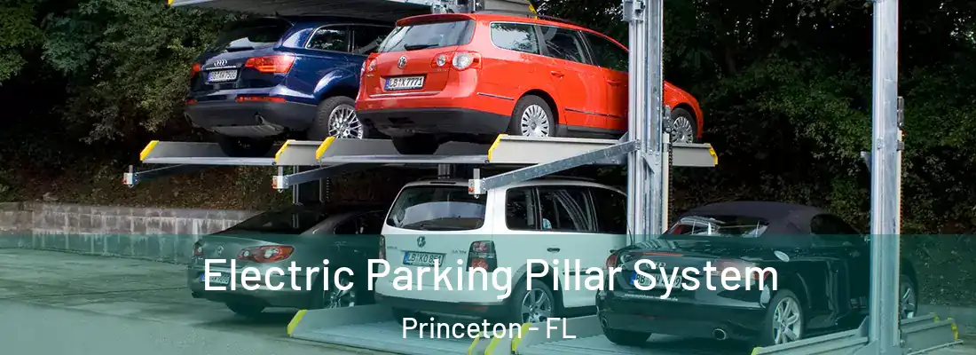  Electric Parking Pillar System Princeton - FL