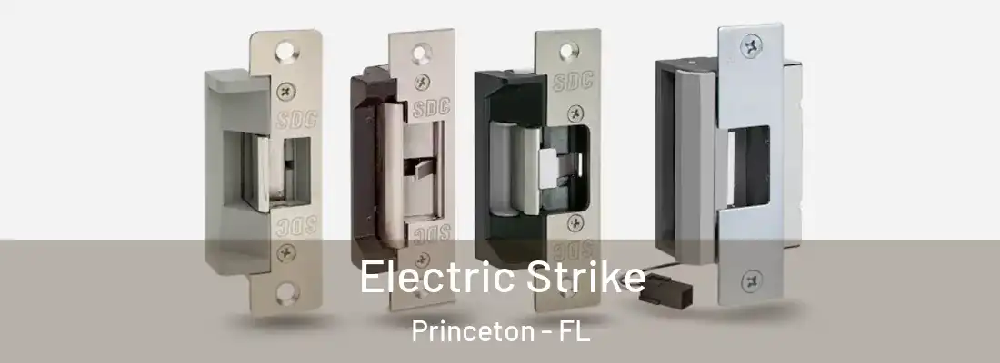  Electric Strike Princeton - FL