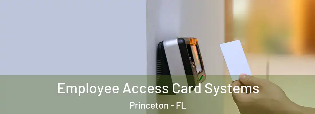 Employee Access Card Systems Princeton - FL