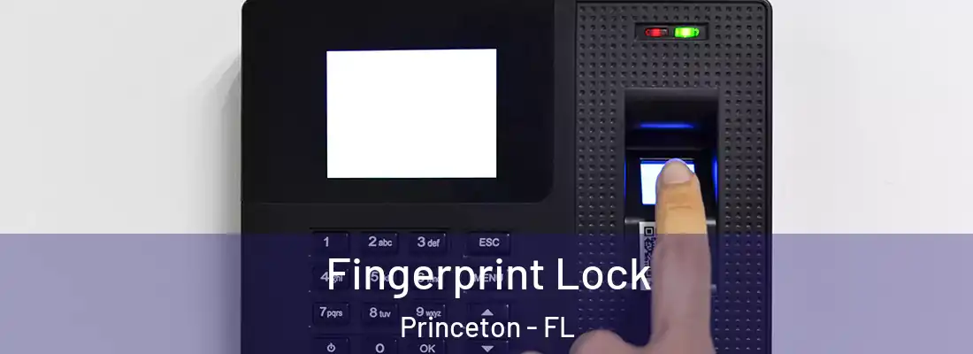 Fingerprint Lock Princeton - FL