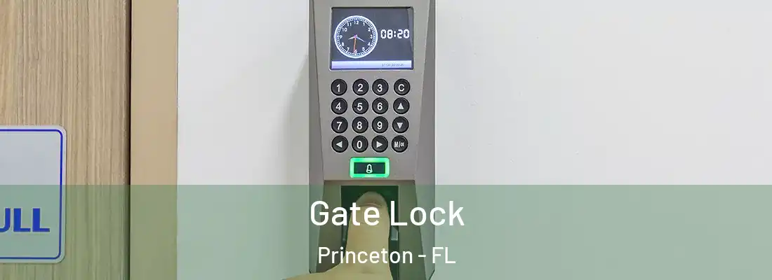 Gate Lock Princeton - FL