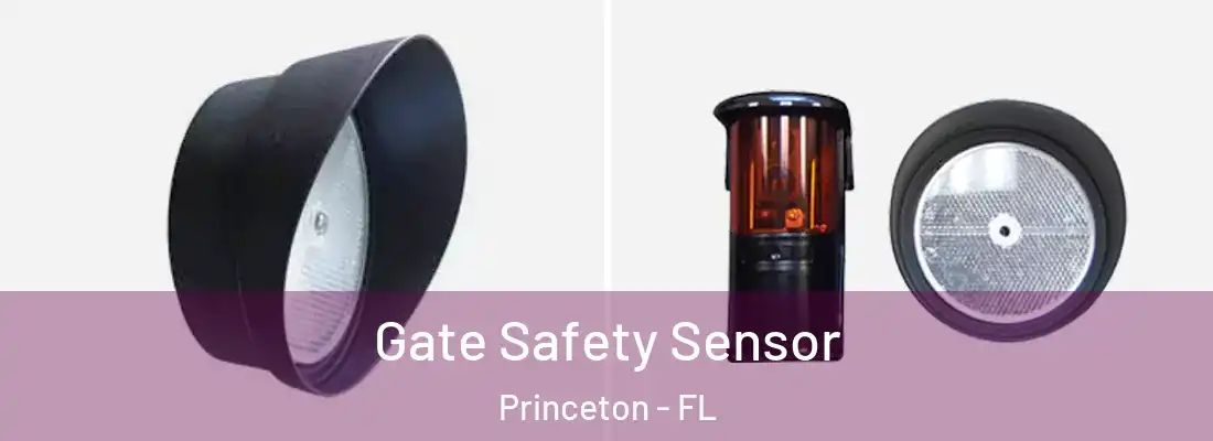 Gate Safety Sensor Princeton - FL