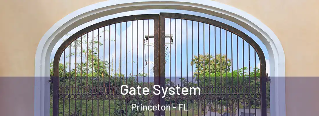  Gate System Princeton - FL