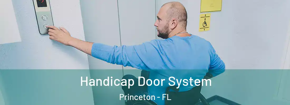  Handicap Door System Princeton - FL