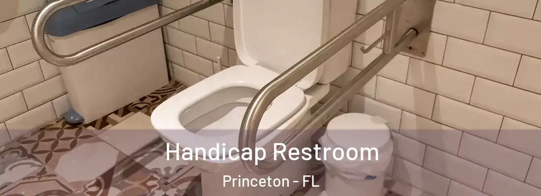  Handicap Restroom Princeton - FL