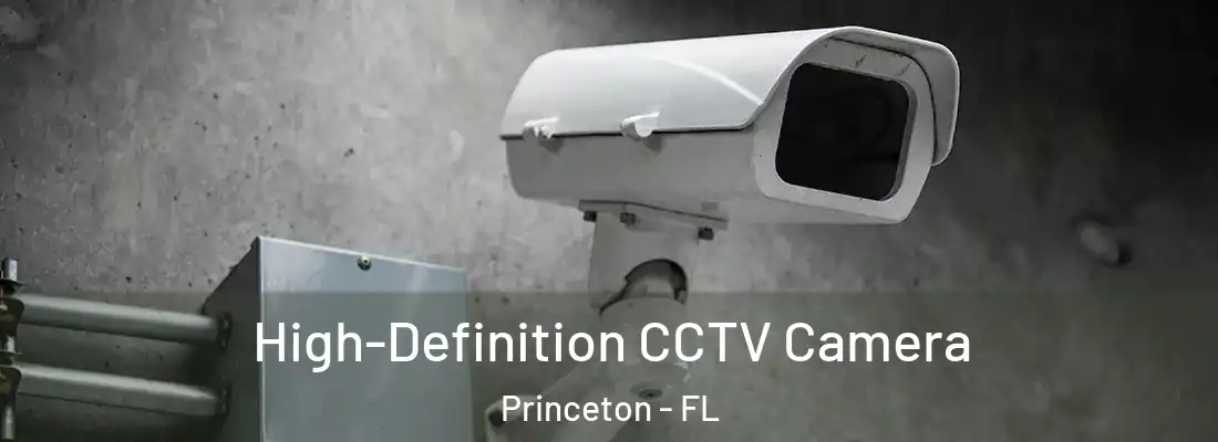  High-Definition CCTV Camera Princeton - FL