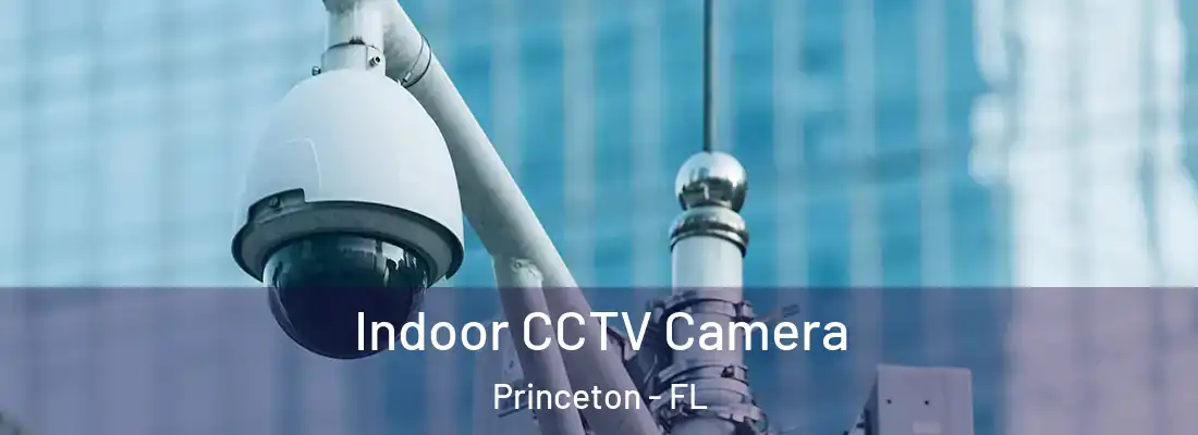  Indoor CCTV Camera Princeton - FL