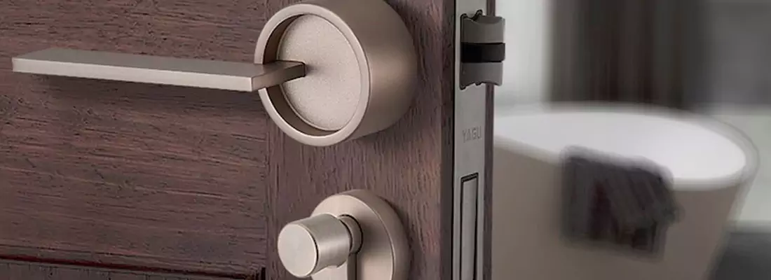 Affordable Cylinder Strike Installation Services in Princeton, FL