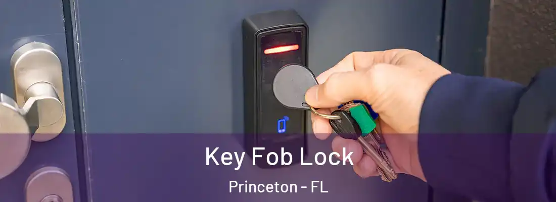  Key Fob Lock Princeton - FL