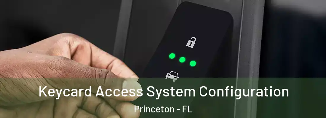  Keycard Access System Configuration Princeton - FL