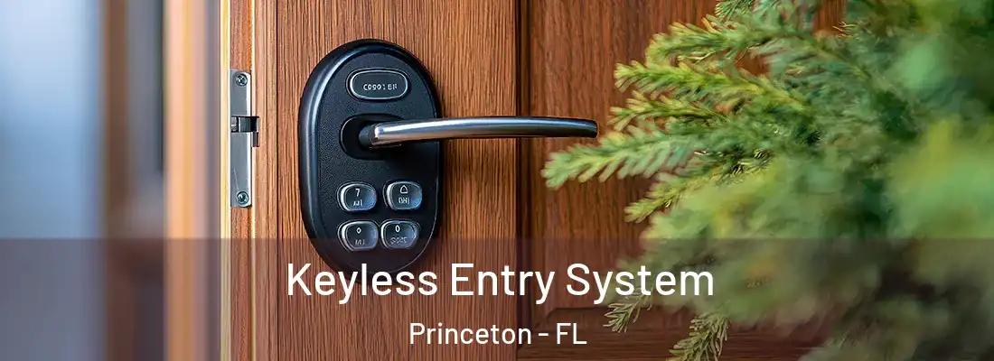 Keyless Entry System Princeton - FL