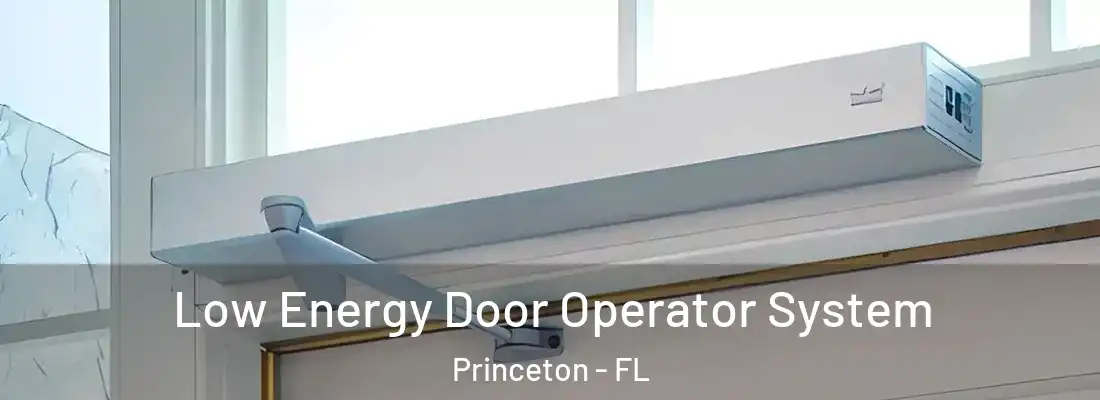  Low Energy Door Operator System Princeton - FL