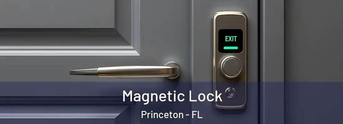 Magnetic Lock Princeton - FL