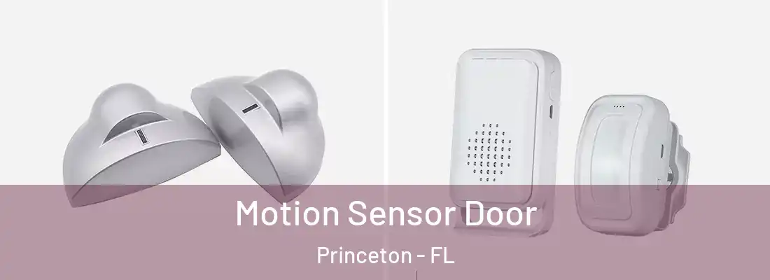 Motion Sensor Door Princeton - FL