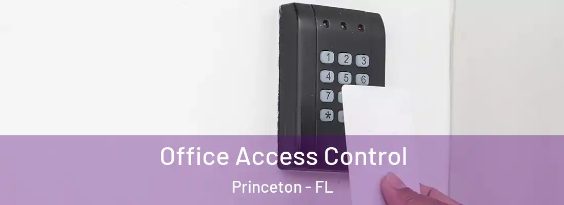  Office Access Control Princeton - FL