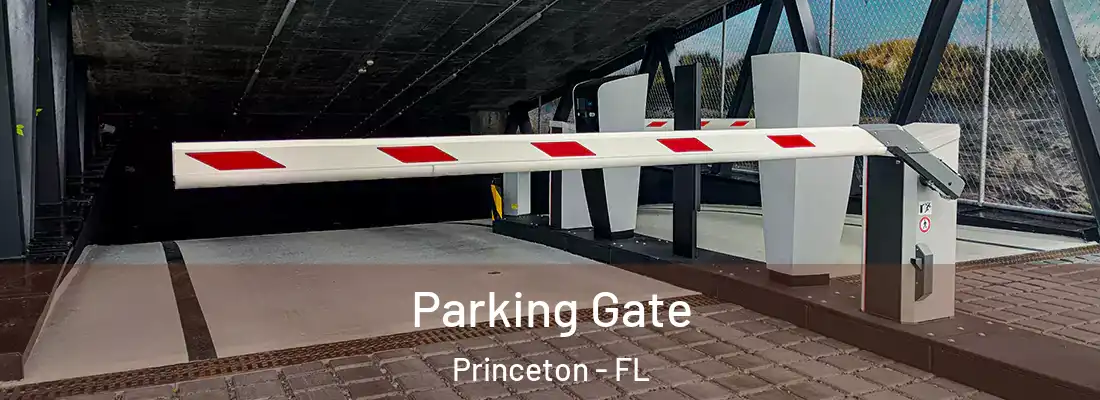  Parking Gate Princeton - FL