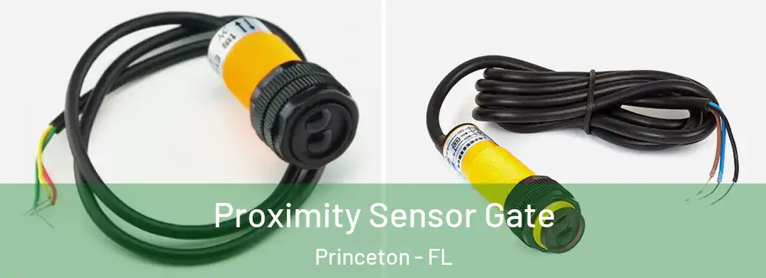  Proximity Sensor Gate Princeton - FL