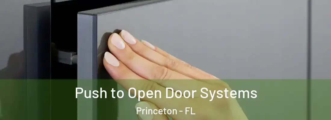  Push to Open Door Systems Princeton - FL