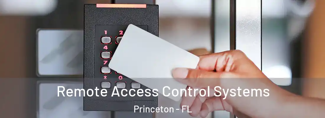  Remote Access Control Systems Princeton - FL