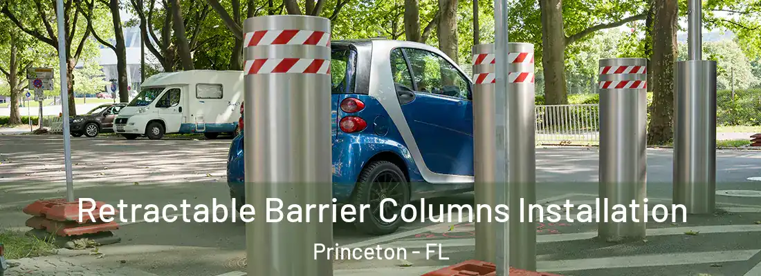  Retractable Barrier Columns Installation Princeton - FL