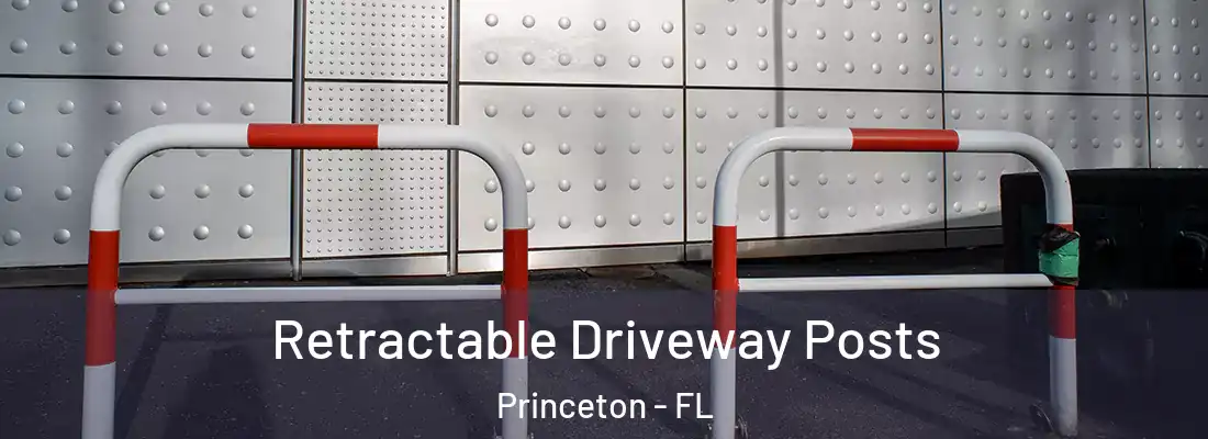 Retractable Driveway Posts Princeton - FL