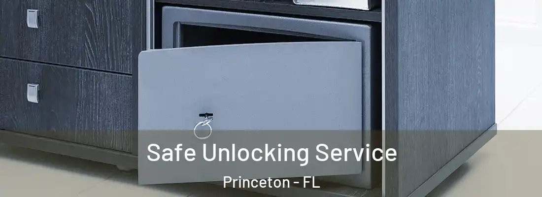  Safe Unlocking Service Princeton - FL
