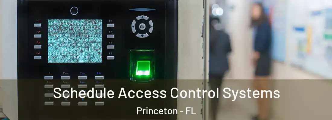  Schedule Access Control Systems Princeton - FL
