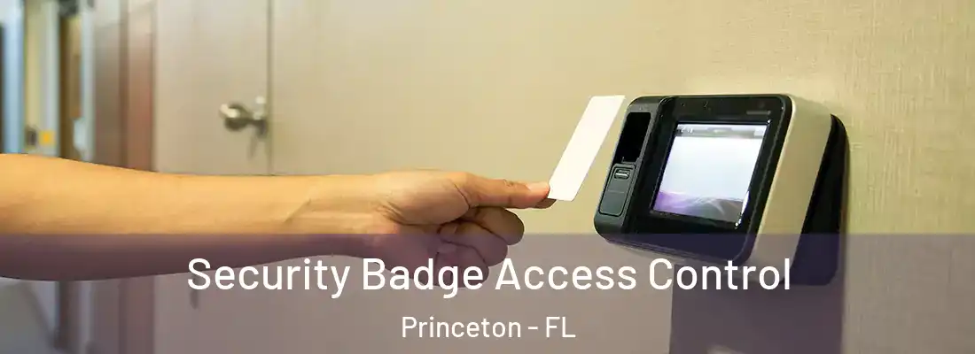  Security Badge Access Control Princeton - FL