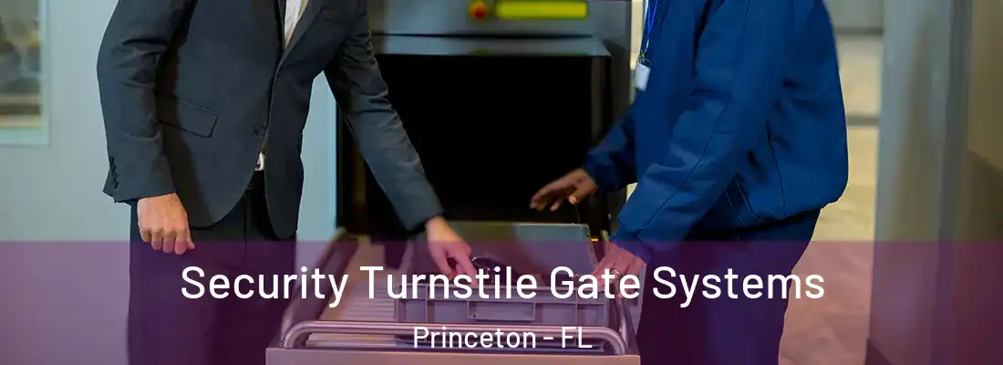 Security Turnstile Gate Systems Princeton - FL