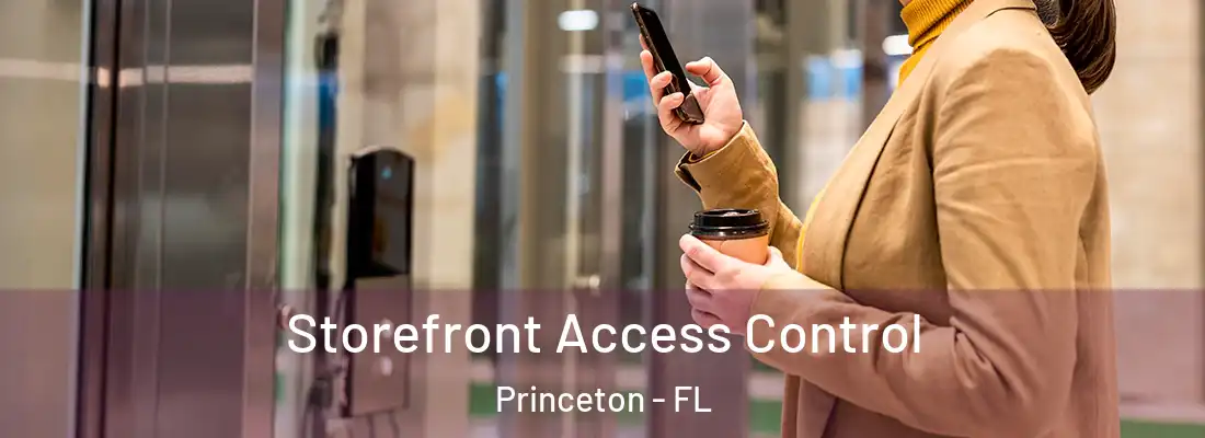  Storefront Access Control Princeton - FL