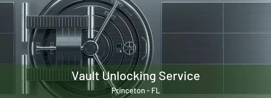  Vault Unlocking Service Princeton - FL