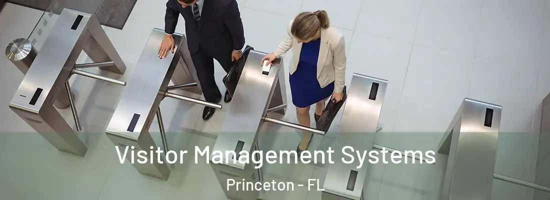 Visitor Management Systems Princeton - FL