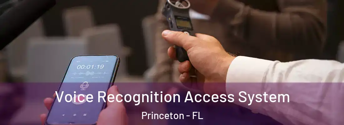  Voice Recognition Access System Princeton - FL