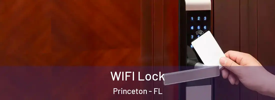  WIFI Lock Princeton - FL